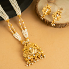 Splendid Designer Traditional Rajwadi Set